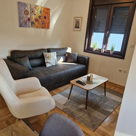Mb Lux Apartment Vrnjačka Banja Екстериор снимка
